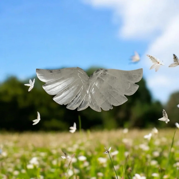 RED WHITE BLUE SALE ALL SALES ARE FINAL HOUSE OF💎 LIVE SHOW LISTENING 11-4 - Picture 4 of 5